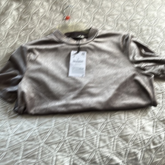 NWT Silver Gray Zara Velour Top Medium - Picture 3 of 4
